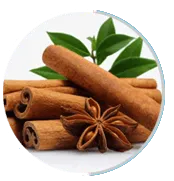 cinnamomum cassia cinnamon sticks natural ingredient used in Neuro Serge brain support supplement